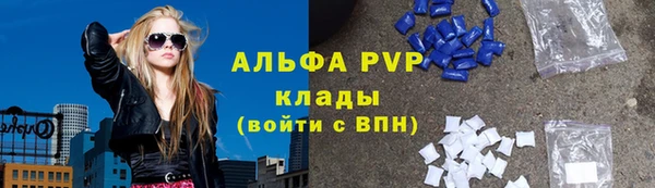 PSILOCYBIN Баксан