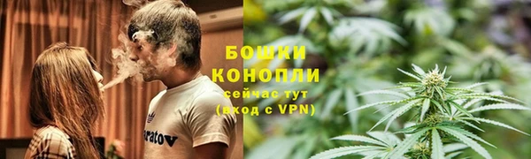 PSILOCYBIN Баксан