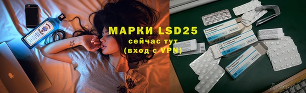 PSILOCYBIN Баксан